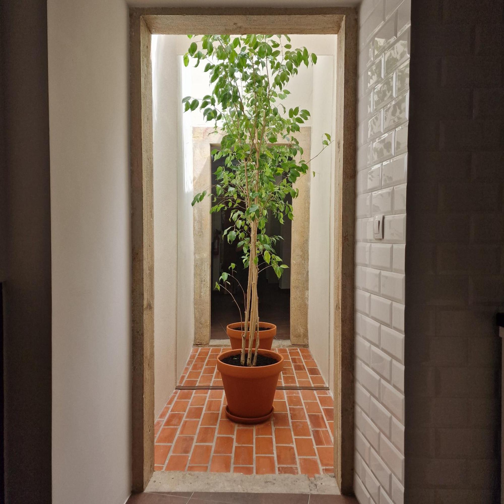Casas De Constancia Villa Kamer foto